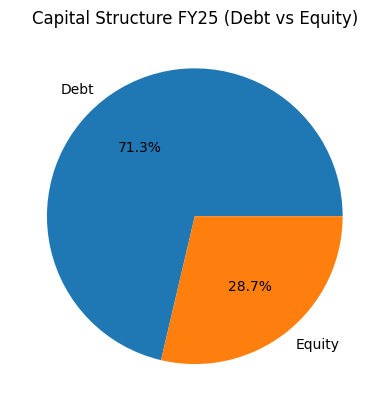 Clean Max capital structure FY25 showing debt versus equity ratio